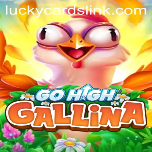 GoHighGallina: An Exciting Adventure with LUCKY CARDS